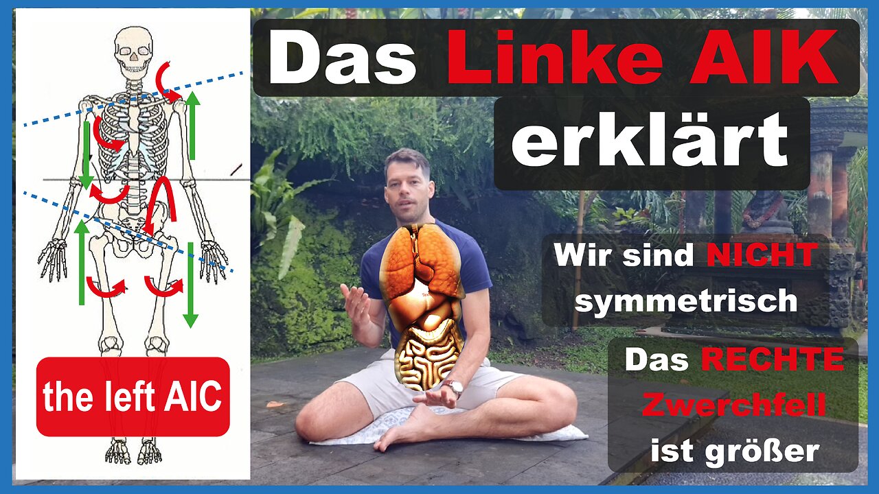 Das Linke AIK-Muster erklärt | verstehe die angeborene, menschliche Asymmetrie | The Left AIC by PRI