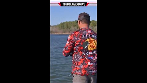 No. 5 Top Finish of all time on Bass Pro Tour
