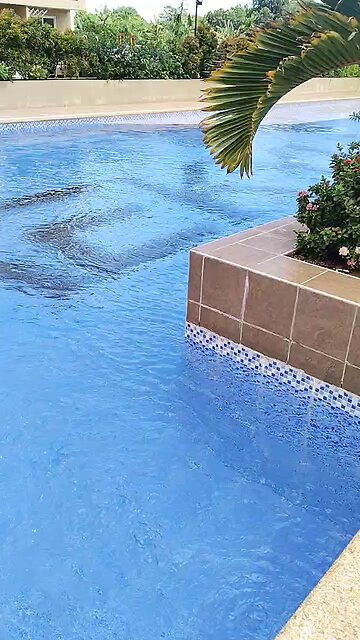 Condo Swimming Pool