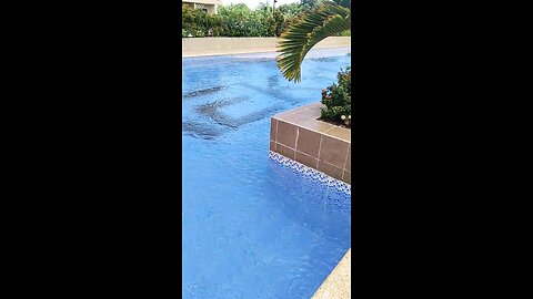 Condo Swimming Pool