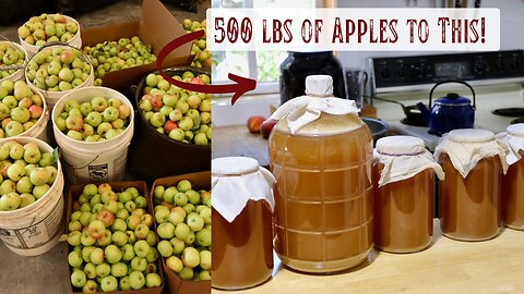 Turning 500 lbs of Apples into Cider in an Afternoon - Preserving the Harvest for Winter