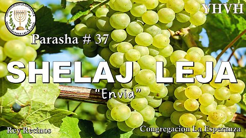 Parasha Shelaj Leja