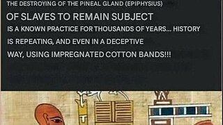 Pineal Gland: One of the Greatest Cover-ups in Human History & the Destruction of the Pineal Gland