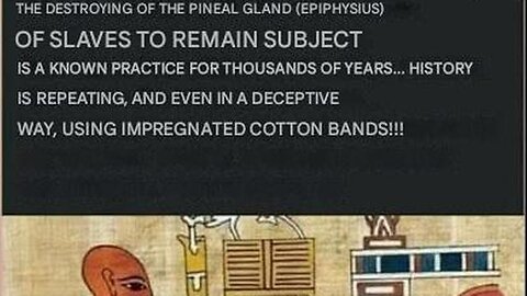 Pineal Gland: One of the Greatest Cover-ups in Human History & the Destruction of the Pineal Gland