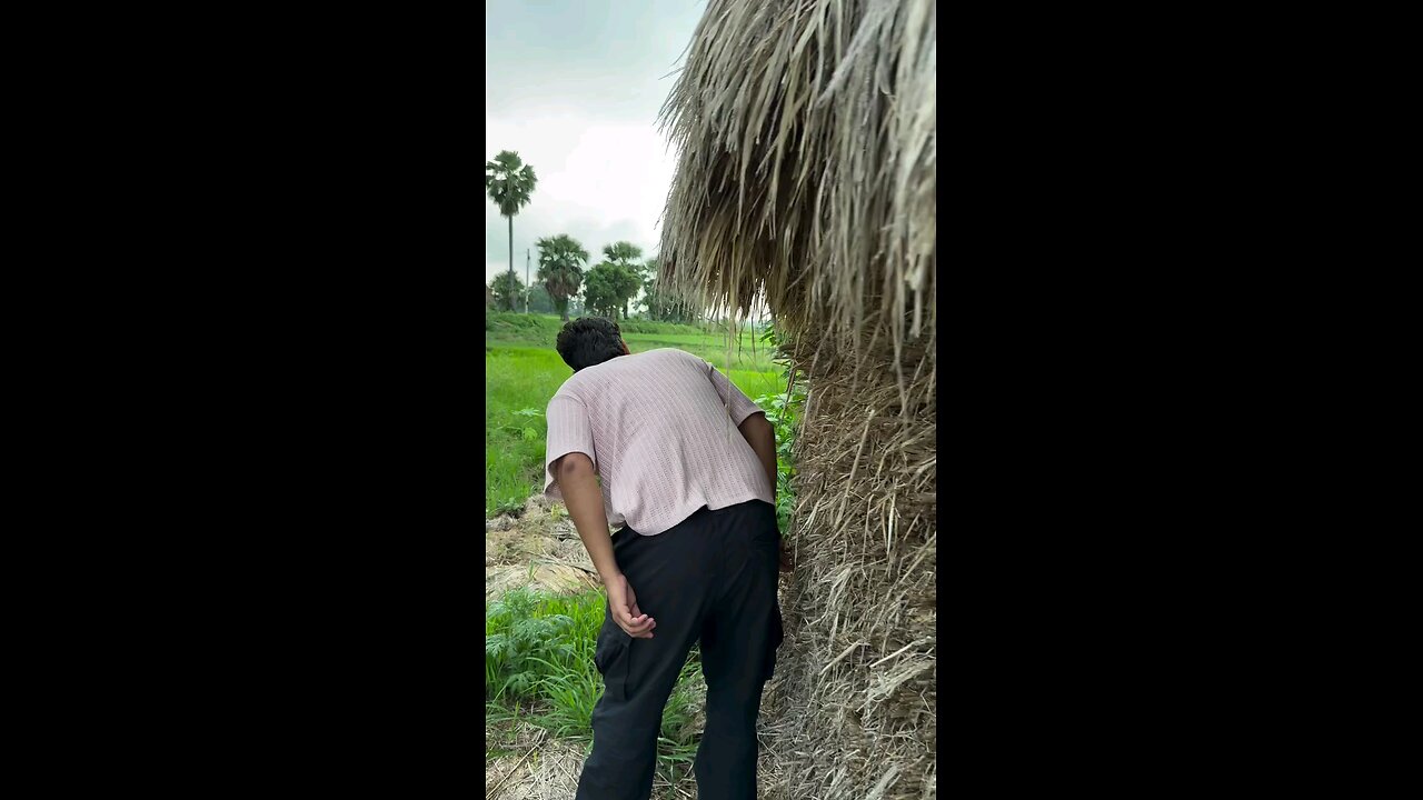 हम बारिश का हाल बता दिए थे