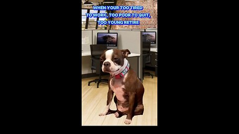Funny work meme