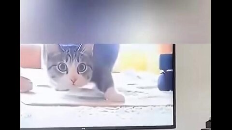Hilarious Cat Reactions While Playing With Kids – Ultimate Fun Compilation!