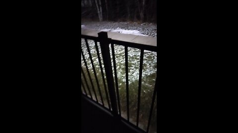 Wasilla Chronicle Fall/Winter 2025 Hoolies Hit Vista Rose