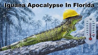 Winter Weather Advisories For 13 Michigan Counties - Iguana Apocalypse In Florida In The Morning