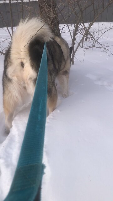 Friday January 30, St Jude’s Children’s Hospital / Ida Harring YouTube Channel