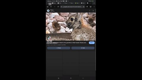 something is happening to rabbits in Colorado.