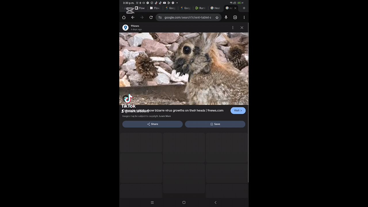 something is happening to rabbits in Colorado.