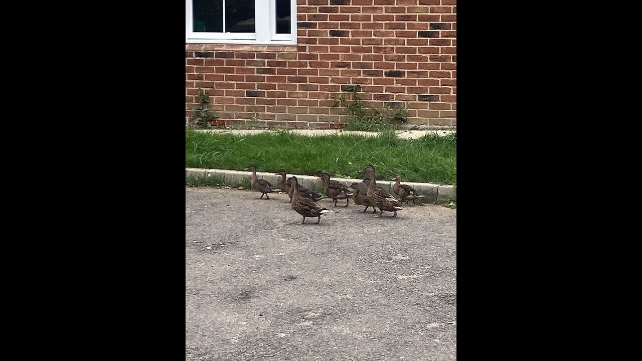 22nd August Twenty25