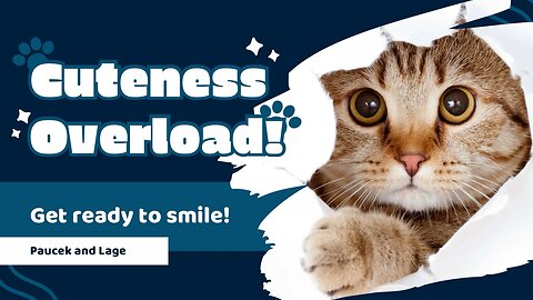 😹 Ultimate Funny Cat Moments! | Try Not to Laugh Challenge #Cats #FunnyPets