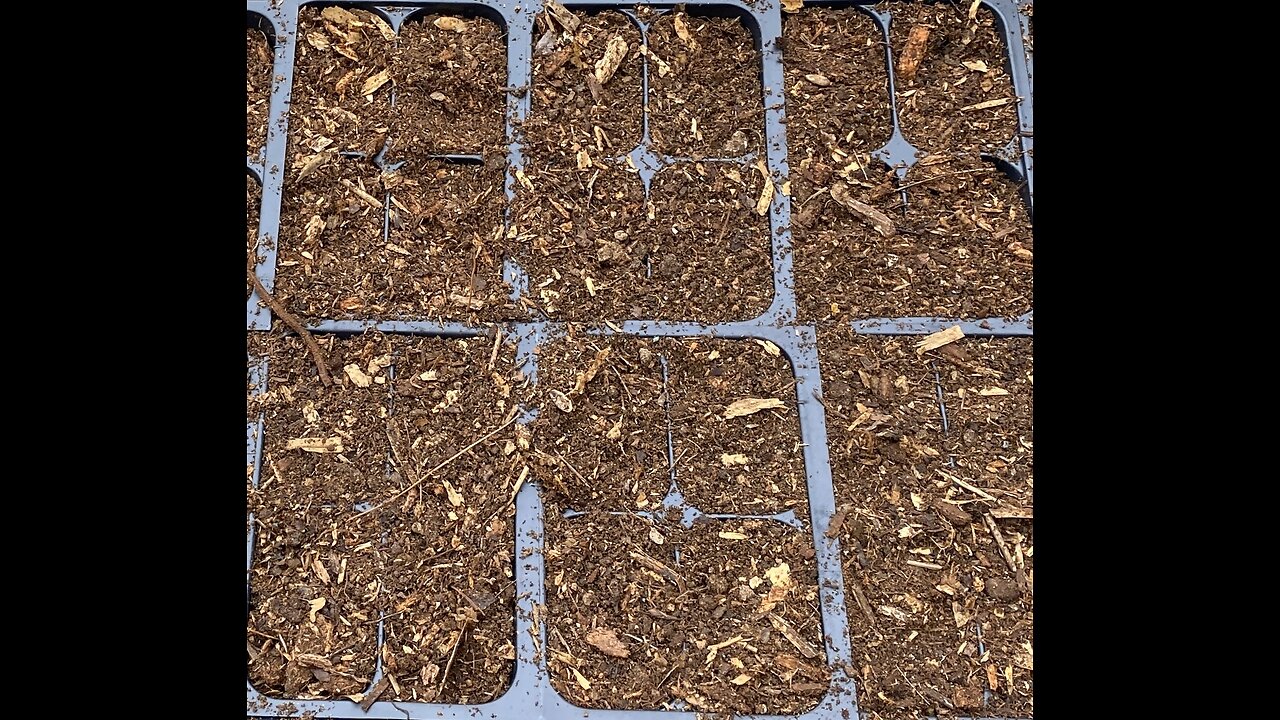 Homemade Free Potting soil