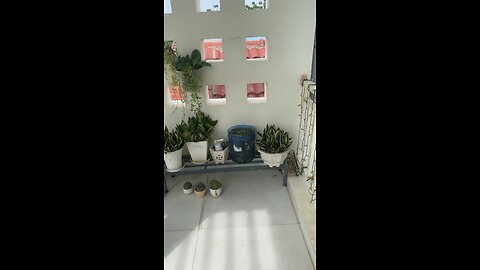 visit the garden on the 2nd floor of my house
