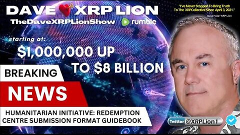 The DAVIDXRPLION Show: HUMANITARIAN PROJECT TEMPLATE
