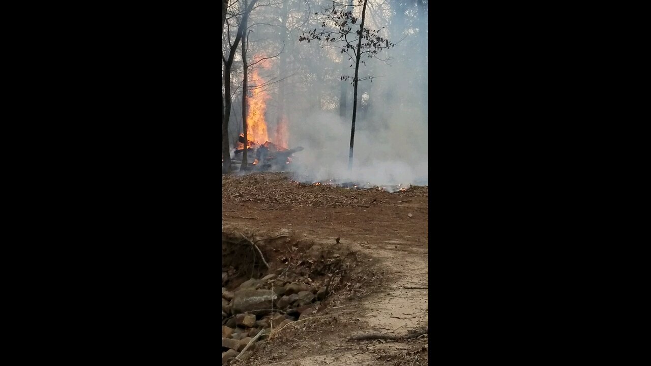 Phase 1 of controlled burn March 2017
