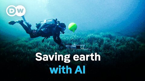 AI and biodiversity | DW Documentary