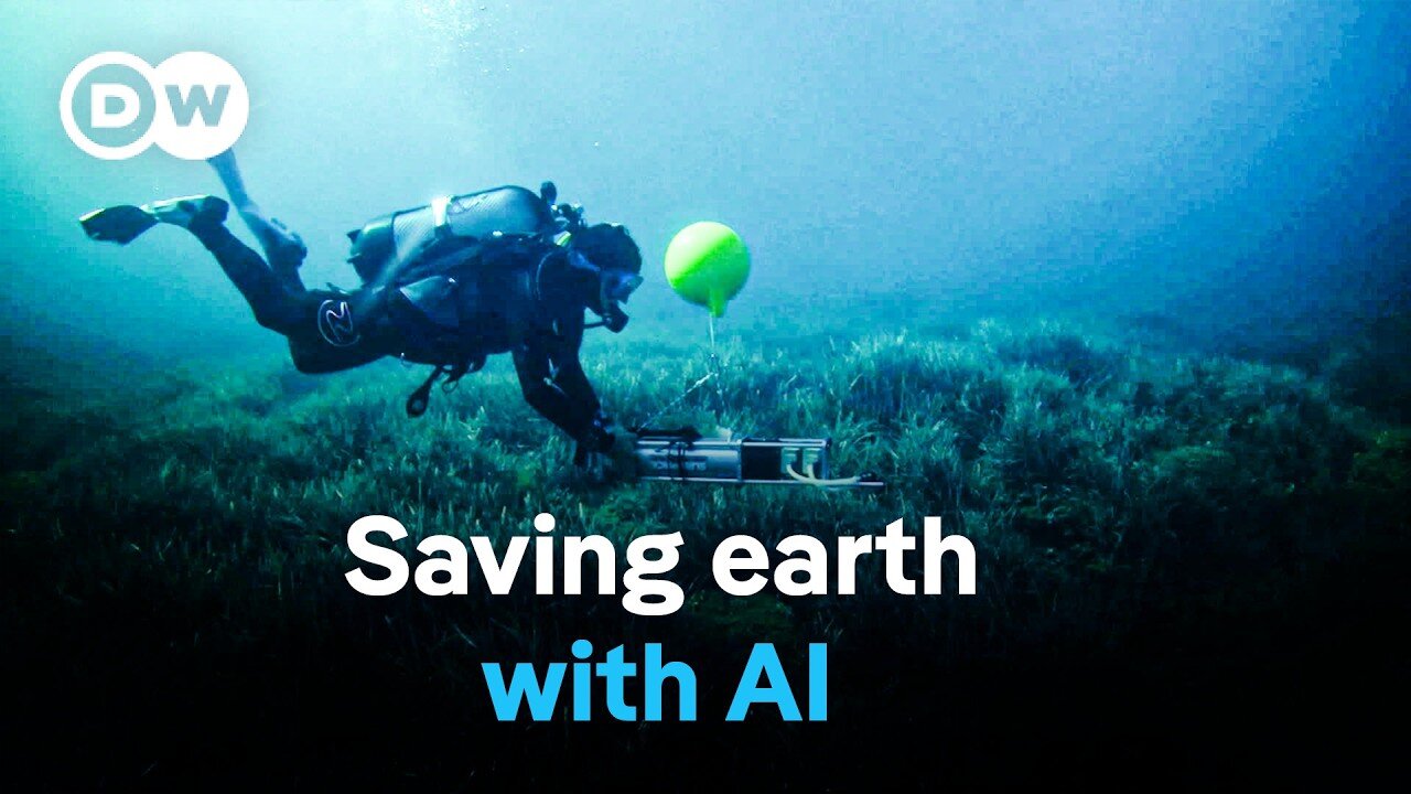 AI and biodiversity | DW Documentary