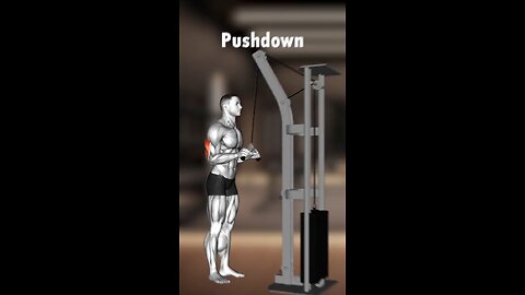 Top 10 Triceps Exercises For Bigger Arms:Build Horseshoe Triceps Fast!