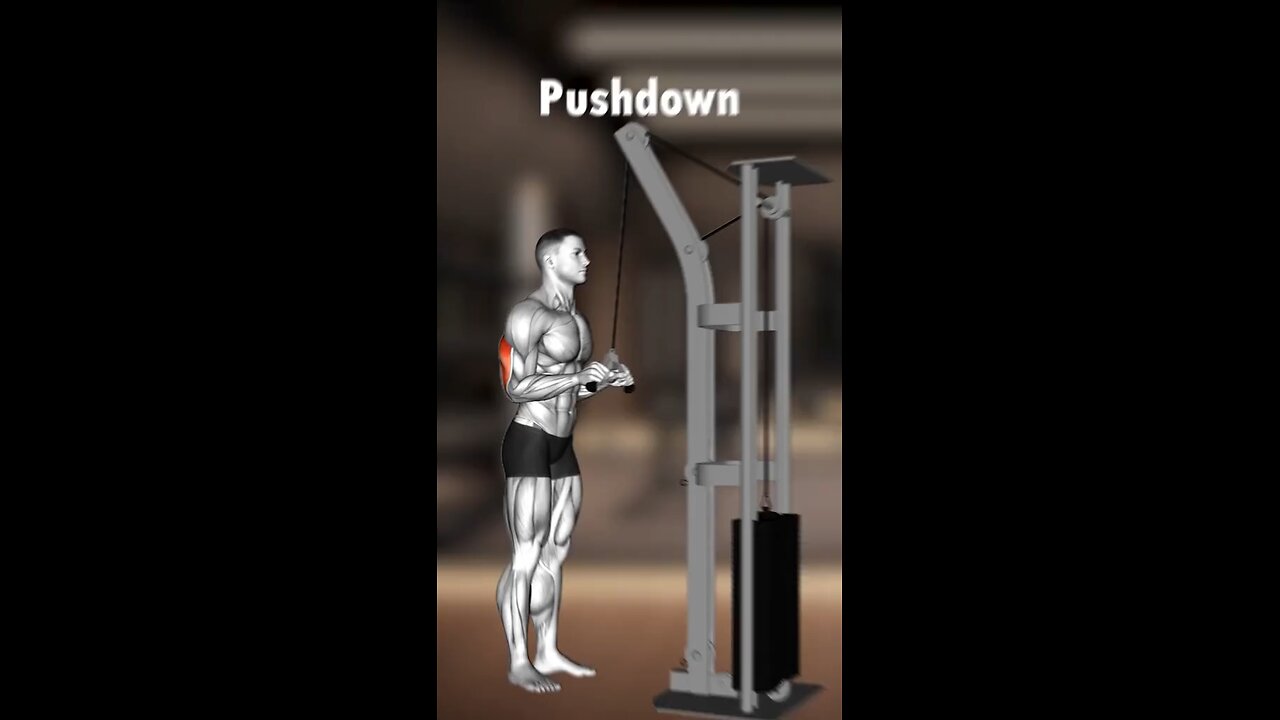 Top 10 Triceps Exercises For Bigger Arms:Build Horseshoe Triceps Fast!
