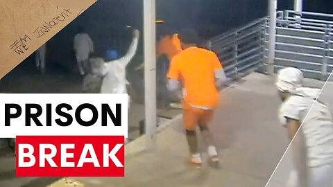 We Innocent - Bleeps break out of jail in New Orleans