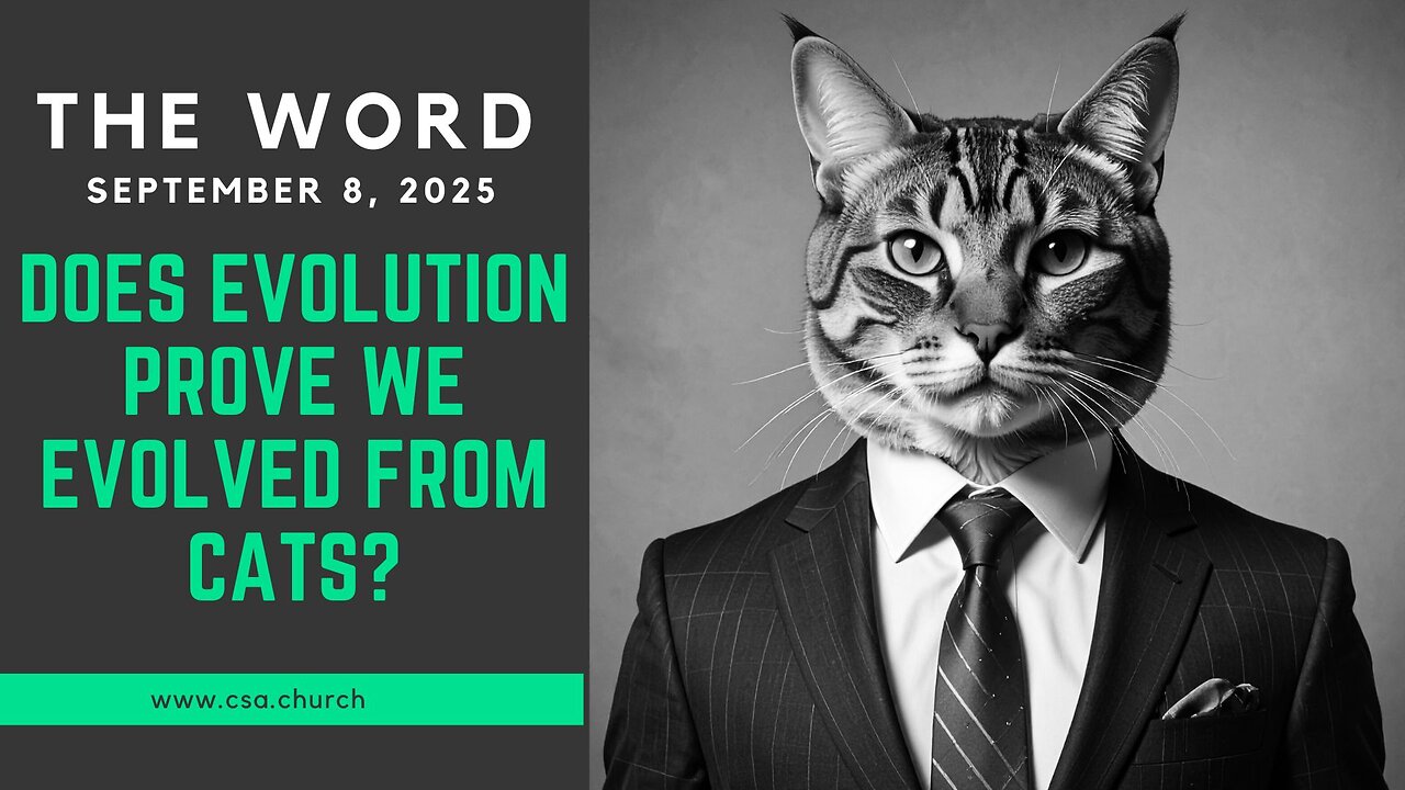 Does Evolution Prove We Evolved From Cats?