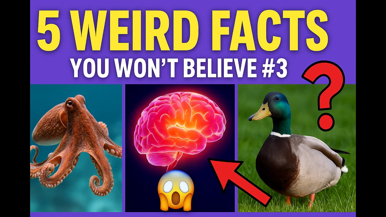 “These 5 Facts Seem FAKE… But Are 100% TRUE!” 🤯 #3 Will Blow Your Mind!