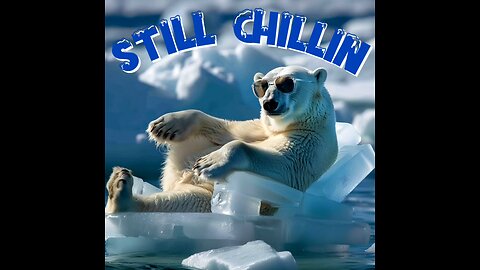 Polar Bears Still Chillin