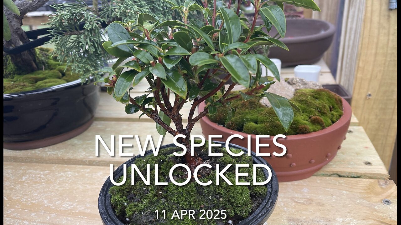 New Species Unlocked
