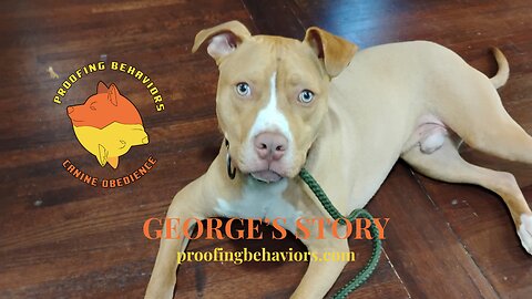 George's Story
