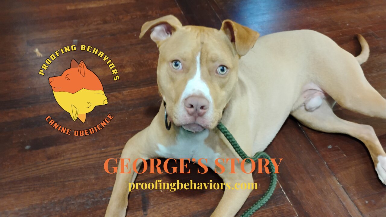 George's Story