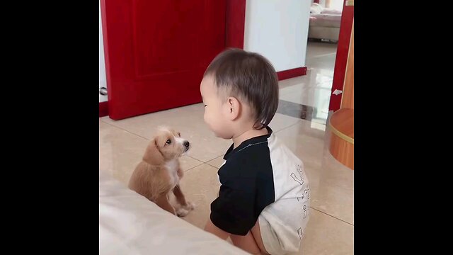 दो मासुम