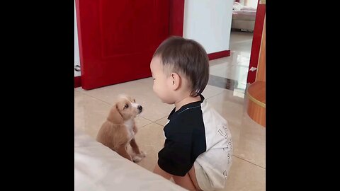 दो मासुम