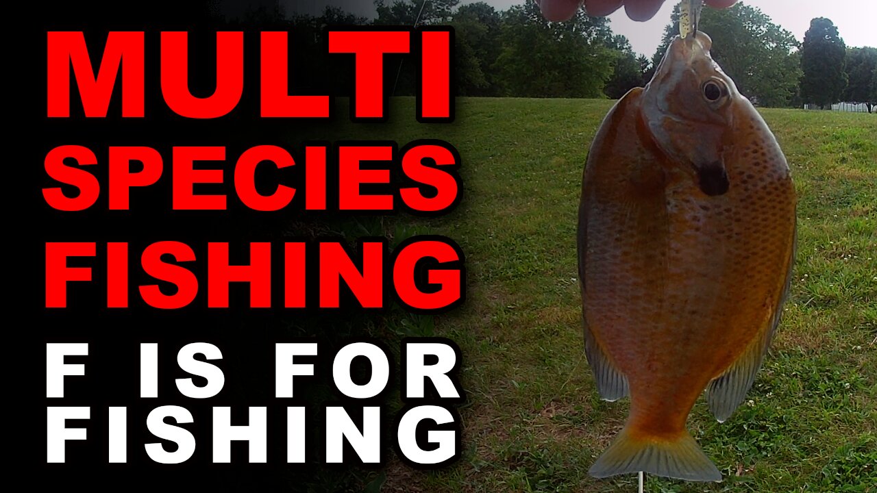 Multi Species Fishing