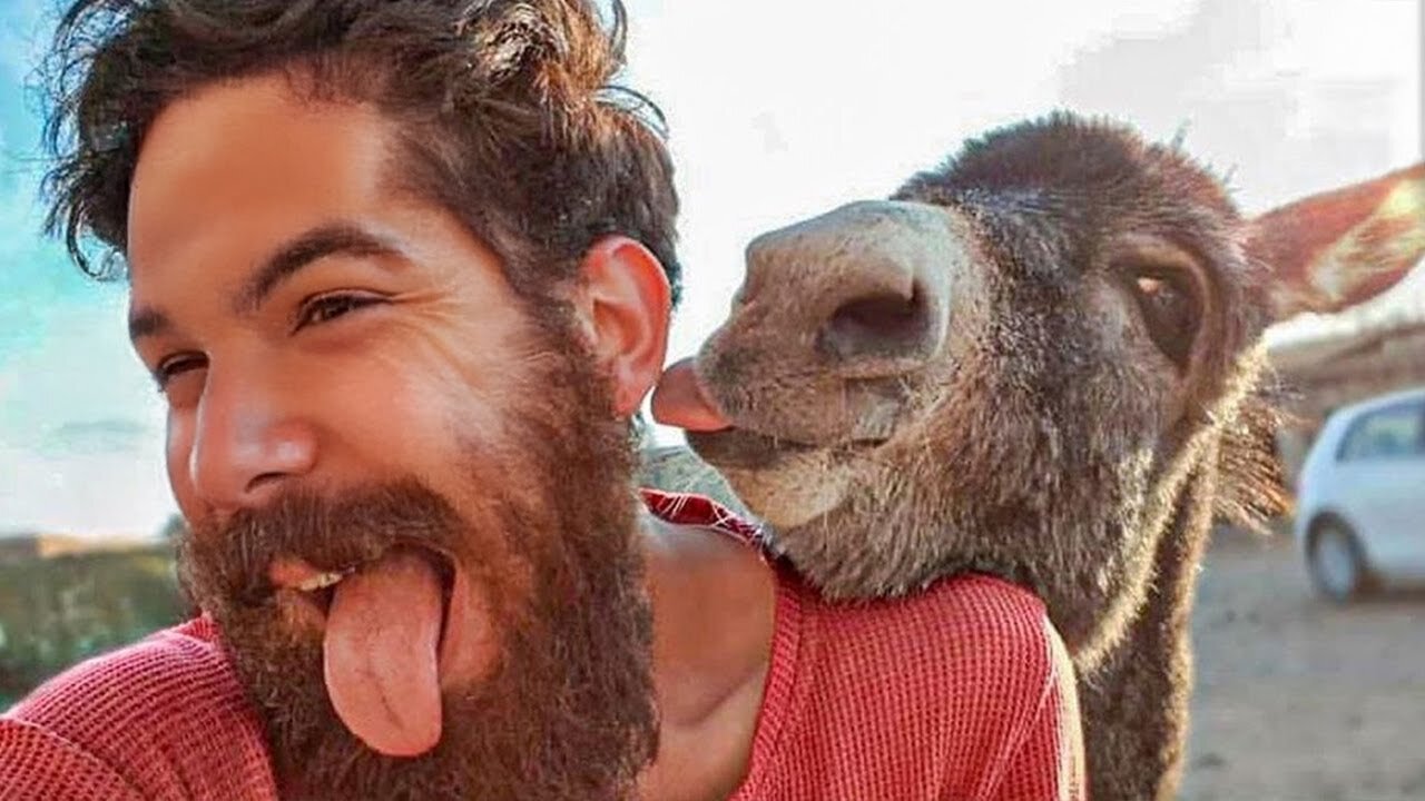 Animals Acting Like Humans Part- 1