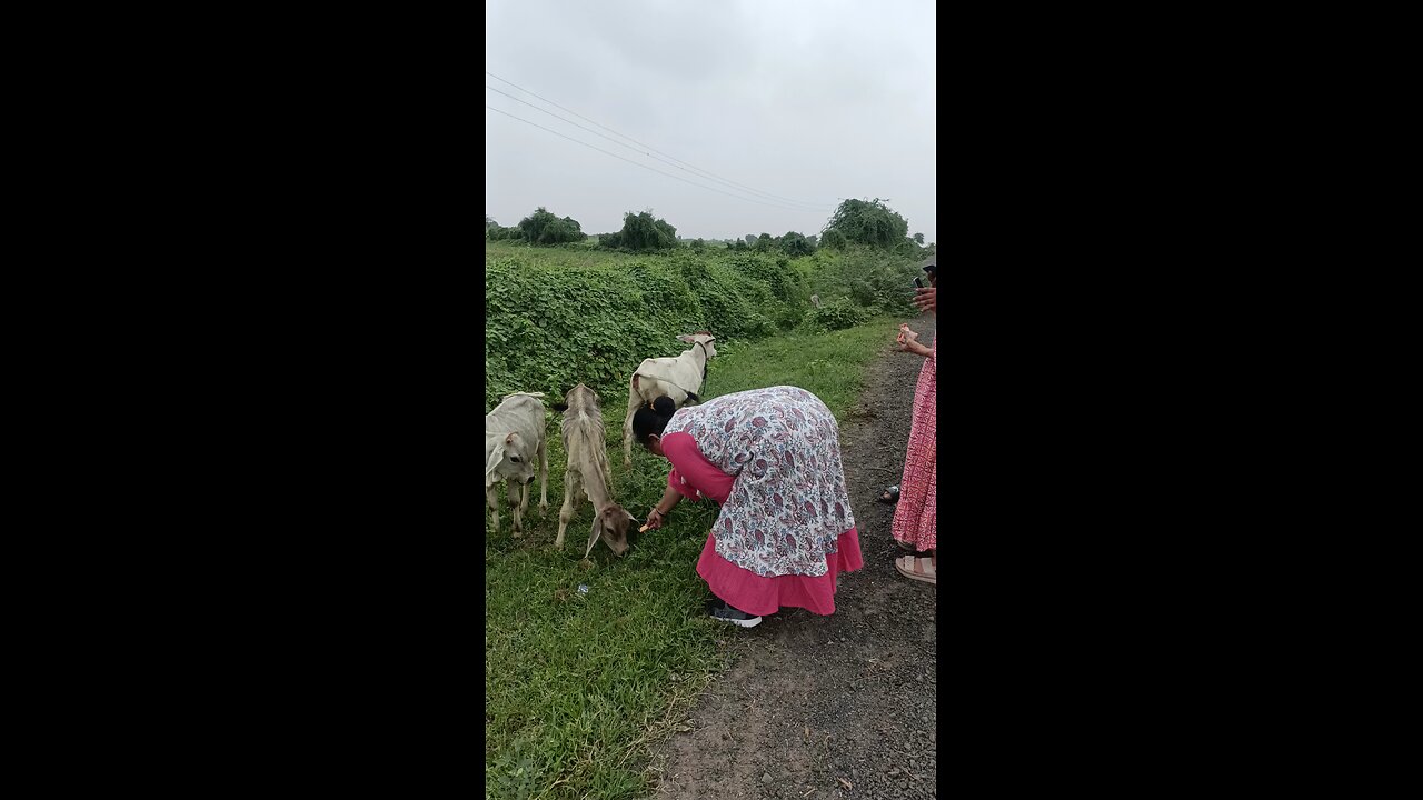 vlog