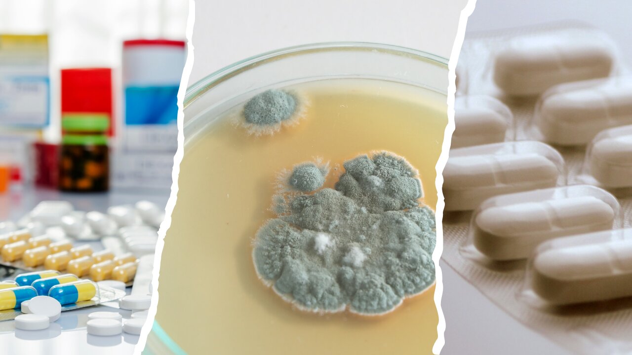 Scottish bacteriologist who discovered penicillin
