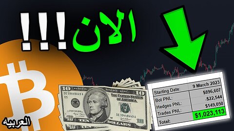 11 Nov 2024 - دخول كامل في البيتكوين والعملات البديلة الآن! ! !