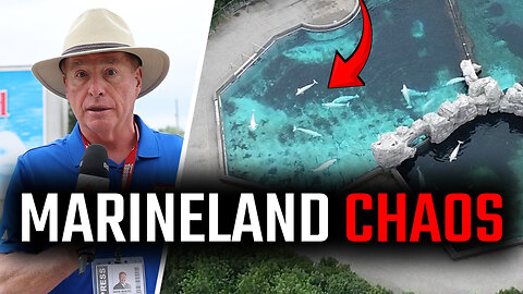 'Everyone loves Marineland'? Not so much these days…