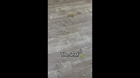 The stitch leaf 🍁