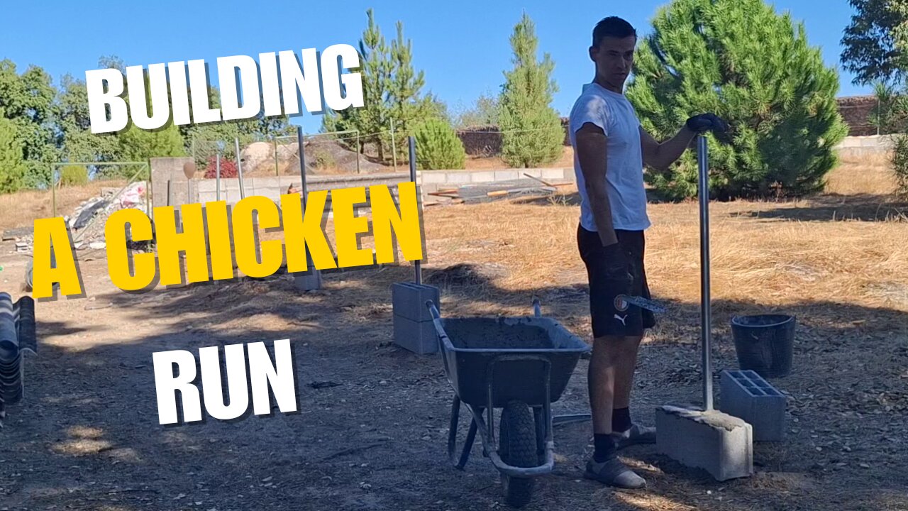 Starting to Build a Chicken Run at Our Friend’s Farm in Central Portugal + Knights Templars Festival