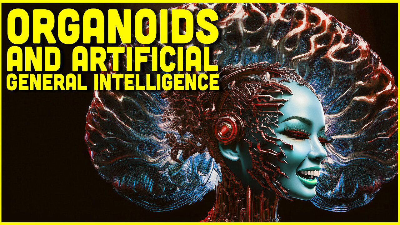 Brain Blobs And Artificial General Intelligence