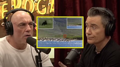 So Bigfoot is real, this footage was never released.. | Joe Rogan