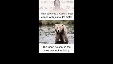 How to survive a bear attack #funny #humor #memes #reaction
