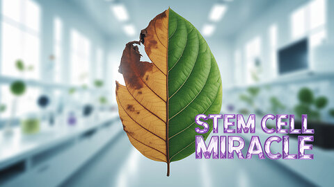 Stem Cells Hold the KEY to REGENERATION and Longevity?