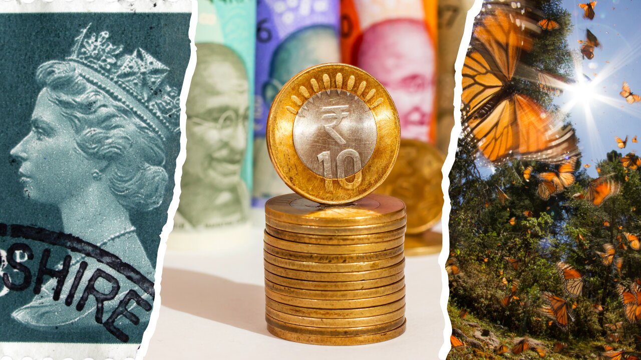 What is a numismatist?