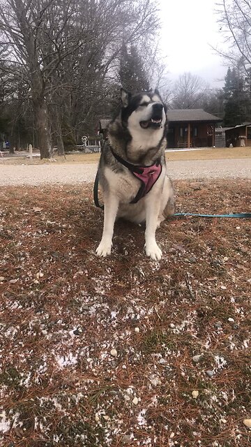 Monday March 31, We are constant sinners.