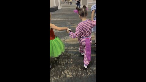 Feis Friend Adorableness